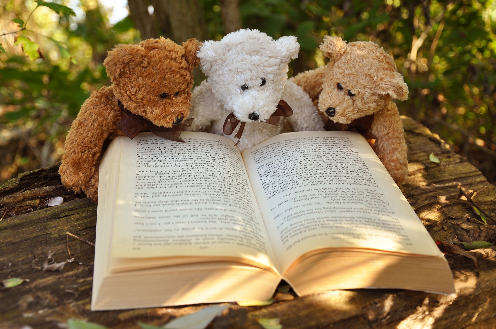 Event image 10th Anniversary Back to School Teddy Bear Picnic